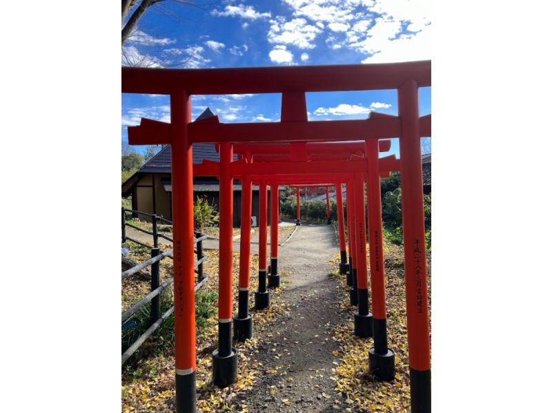 【福島県・福島市】にっぽん百低山「信夫山」ハイキングの紹介画像