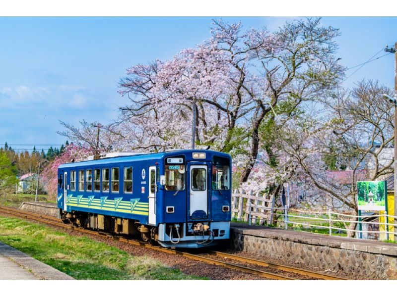 【秋田県・北秋田／能代山本】①4/11-12 ②4/17-18 現地発着１泊２日｜宿泊料込｜秋田犬散歩・内陸線乗車付きお花見ツアー！の紹介画像