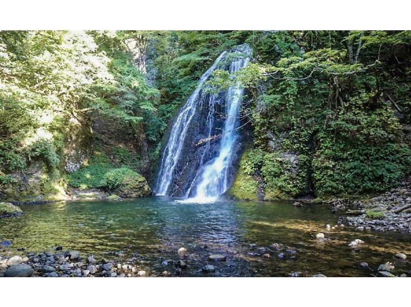 【秋田県・北秋田／能代山本】①4/11-12 ②4/17-18 現地発着１泊２日｜宿泊料込｜秋田犬散歩・内陸線乗車付きお花見ツアー！の紹介画像