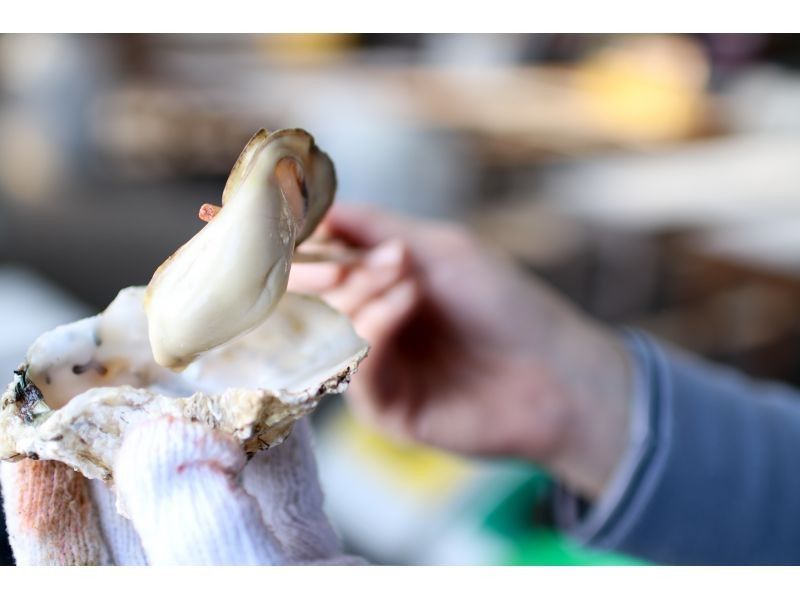 【広島県・尾道/地域食】瀬戸内の&rdquo;おいしい&rdquo;を高速艇で食べに行くプチ贅沢ランチクルーズの紹介画像