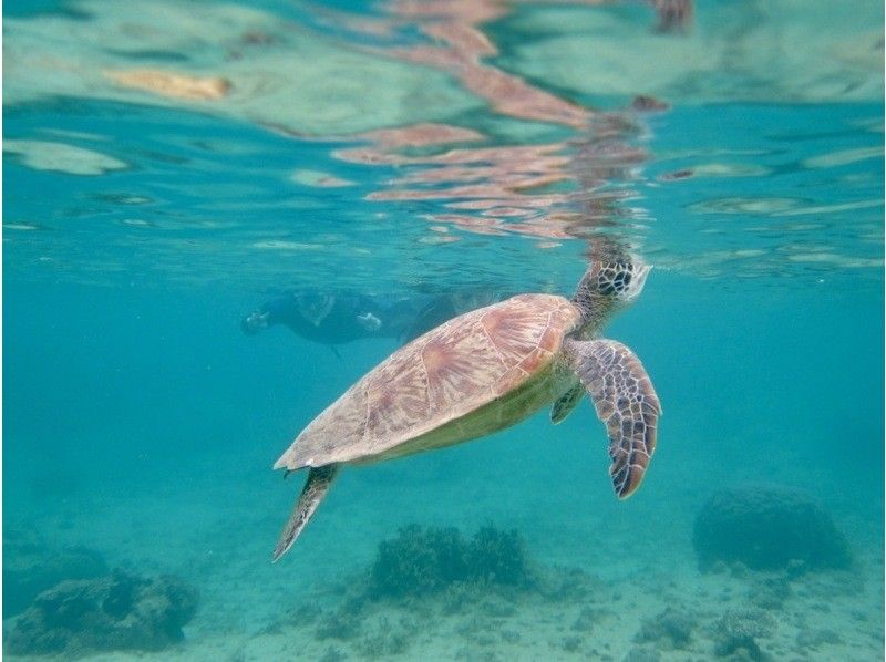 那覇からのアクセスも抜群！本島・南部ウミガメが生息してる【ジョン万ビーチ】で1組様限定のシュノーケリング冒険ツアー♪ の紹介画像