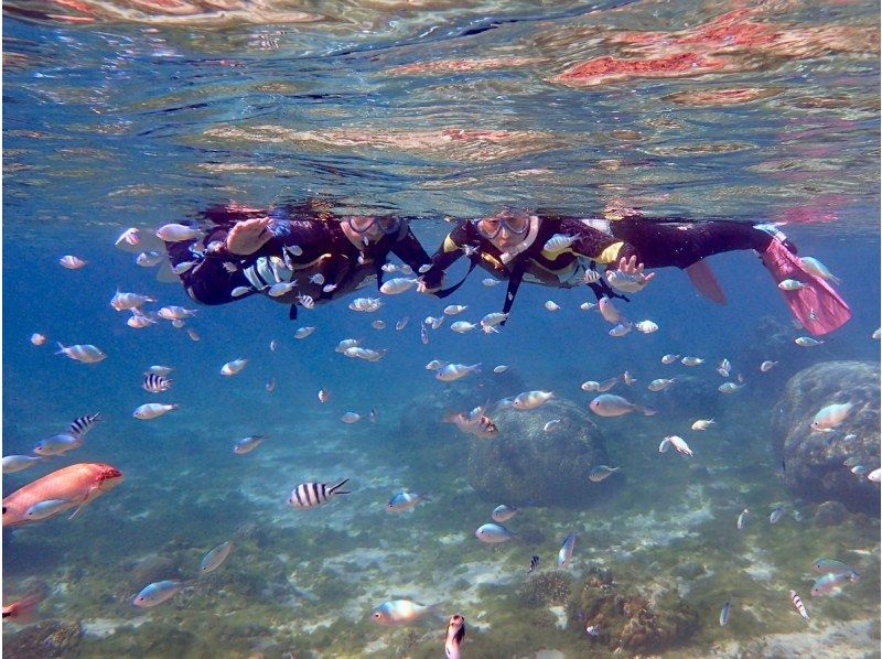 那覇からのアクセスも抜群！本島・南部ウミガメが生息してる【ジョン万ビーチ】で1組様限定のシュノーケリング冒険ツアー♪ の紹介画像
