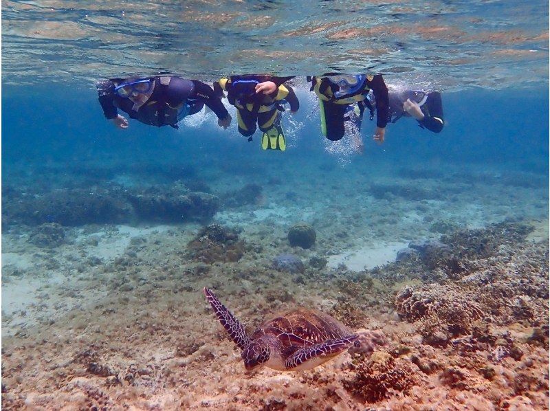 那覇からのアクセスも抜群！本島・南部ウミガメが生息してる【ジョン万ビーチ】で1組様限定のシュノーケリング冒険ツアー♪ の紹介画像