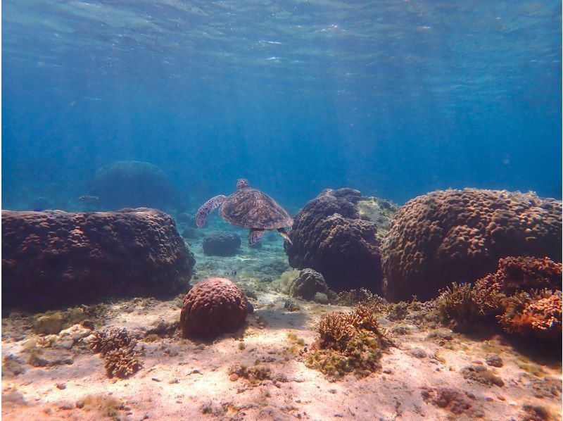 【沖縄・糸満】1組限定プライベートシュノーケリング・初心者・お子様連れ歓迎・少人数制・女性インストラクターが案内の紹介画像