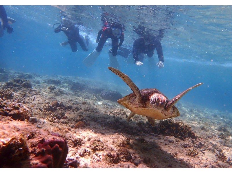 【沖縄・糸満】1組限定プライベートシュノーケリング・初心者・お子様連れ歓迎・少人数制・女性インストラクターが案内の紹介画像