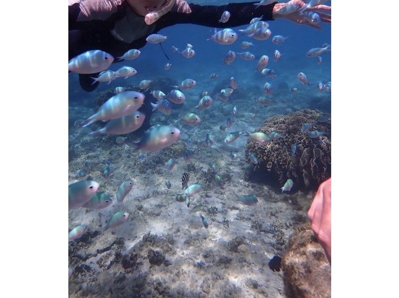 【沖縄・糸満】1組限定プライベートシュノーケリング・初心者・お子様連れ歓迎・少人数制・女性インストラクターが案内の紹介画像