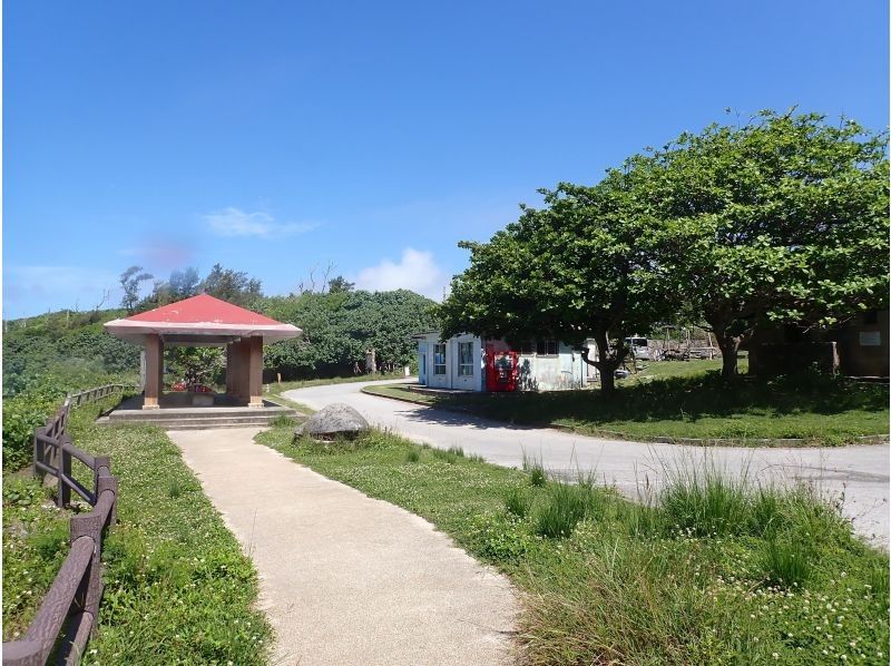 【沖縄・糸満】1組限定プライベートシュノーケリング・初心者・お子様連れ歓迎・少人数制・女性インストラクターが案内の紹介画像