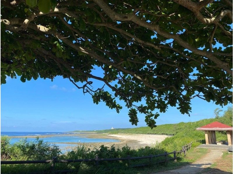 【沖縄・糸満】1組限定プライベートシュノーケリング・初心者・お子様連れ歓迎・少人数制・女性インストラクターが案内の紹介画像