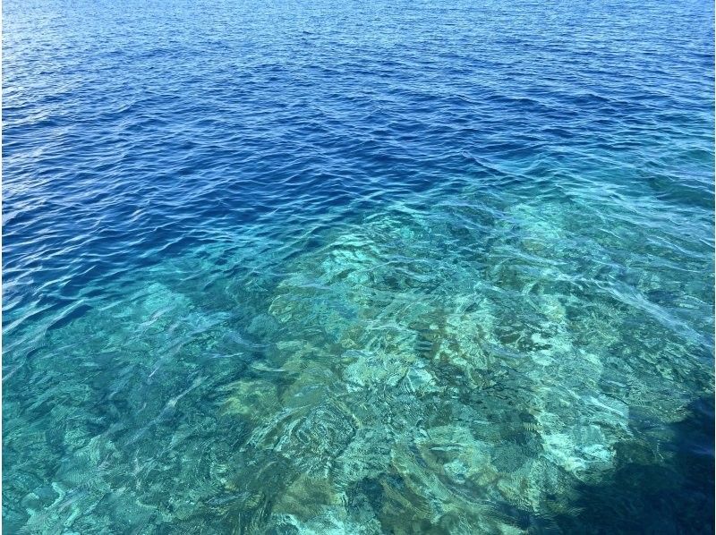 【沖縄・糸満フィッシャリーナ発】ボートダイビング・1組限定・少人数制・初心者OK・女性インストラクターが案内しますの紹介画像