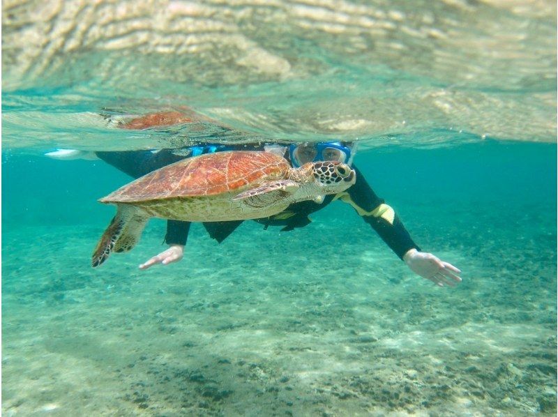 那覇からのアクセスも抜群！本島・糸満の天然ビーチ【ジョン万ビーチ】で1組様限定の完全貸切シュノーケリングツアー♪の紹介画像