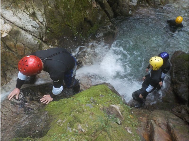 【岐阜県　奥長良川】滝巡りシャワークライミング★1組限定★　　　☆20滝を乗り越えろ！！滝だらけの映え映えスポット満載☆の紹介画像