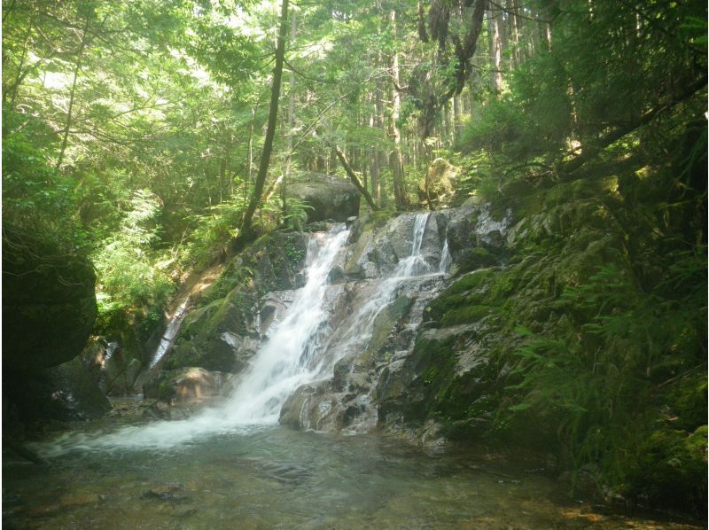 【岐阜県　奥長良川】滝巡りシャワークライミング★1組限定★　　　☆20滝を乗り越えろ！！滝だらけの映え映えスポット満載☆の紹介画像