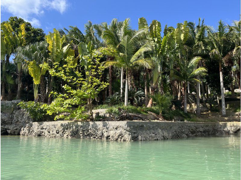 【宮古島｜マングローブSUPツアー｜1.5時間】⭐️OPEN記念1組限定⭐️ドローン＆通常撮影無料?宮古島のマングローブをSUPで冒険♪の紹介画像