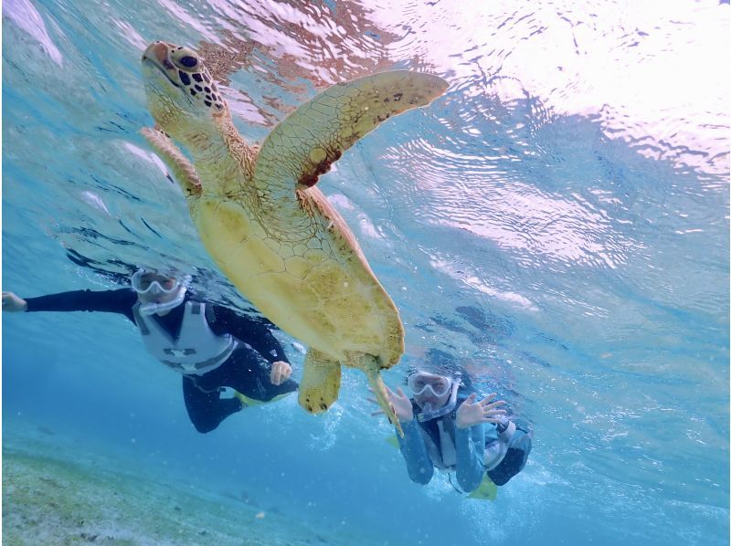 【宮古島｜ウミガメSUP＆シュノーケル｜2.5時間】⭐️OPEN記念1組限定貸切⭐️ドローン＆水中撮影無料！高確率でウミガメと会える！の紹介画像