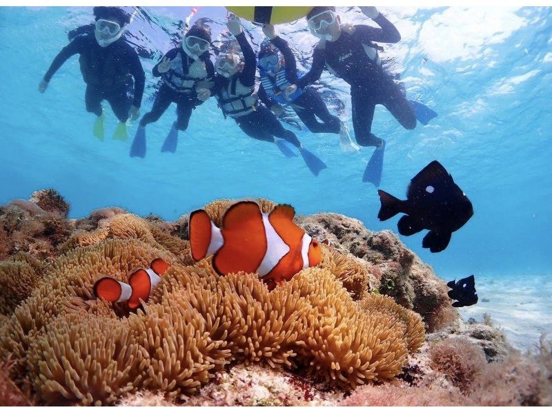 宮古島【当店人気No.1セット】ウミガメシュノーケル＆クリアSUP体験｜初心者OK・写真データ無料・当日予約可★学割★【卒業旅行歓迎】の紹介画像