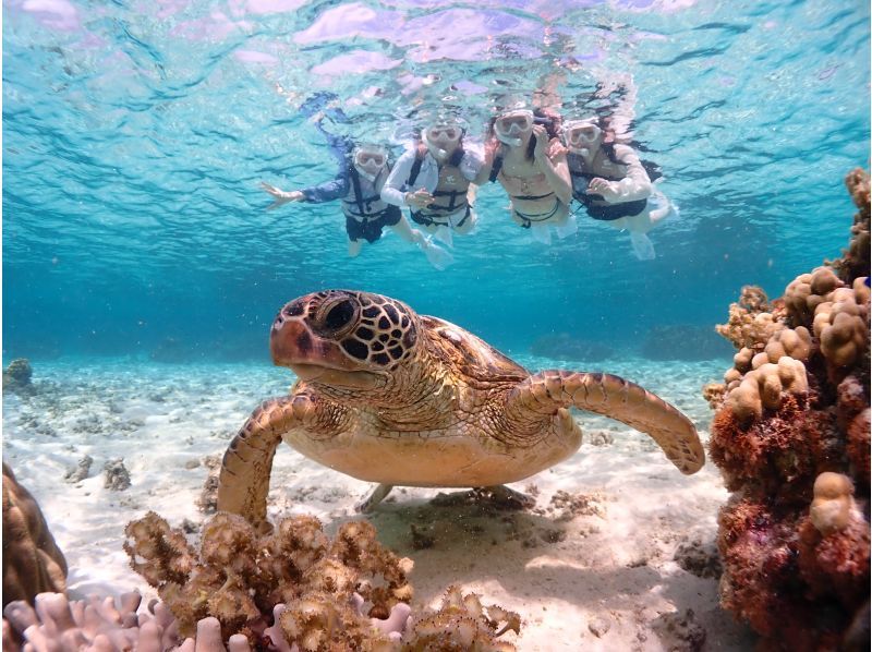 宮古島【当店人気No.1セット】ウミガメシュノーケル＆クリアSUP体験｜初心者OK・写真データ無料・当日予約可★学割★【卒業旅行歓迎】の紹介画像