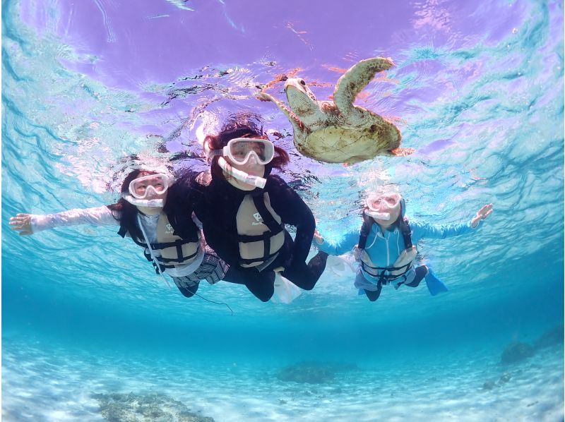 宮古島【当店人気No.1セット】ウミガメシュノーケル＆クリアSUP体験｜初心者OK・写真データ無料・当日予約可★学割★【卒業旅行歓迎】の紹介画像