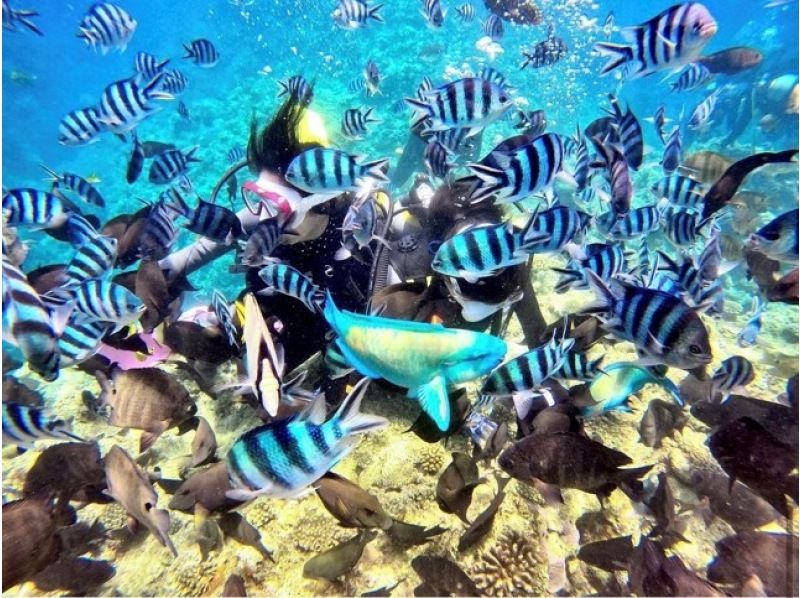 【恩納村青の洞窟⭐️貸切体験ダイビング】１人からOK！無料写真撮影★女性スタッフ在籍★当日予約、手ぶらで参加OK！シャワー、ドライヤー完備！の紹介画像