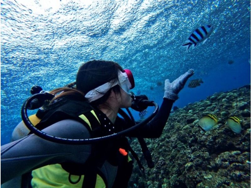 【恩納村青の洞窟⭐️貸切体験ダイビング】１人からOK！無料写真撮影★女性スタッフ在籍★当日予約、手ぶらで参加OK！シャワー、ドライヤー完備！の紹介画像