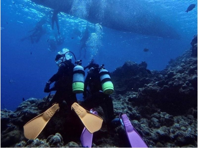 【恩納村青の洞窟⭐️貸切体験ダイビング】１人からOK！無料写真撮影★女性スタッフ在籍★当日予約、手ぶらで参加OK！シャワー、ドライヤー完備！の紹介画像