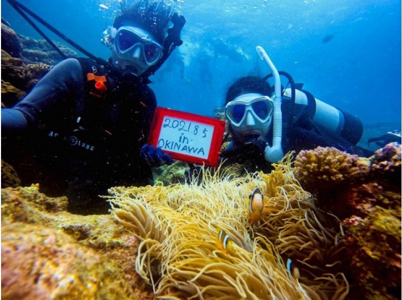 【恩納村青の洞窟⭐️貸切体験ダイビング】１人からOK！無料写真撮影★女性スタッフ在籍★当日予約、手ぶらで参加OK！シャワー、ドライヤー完備！の紹介画像