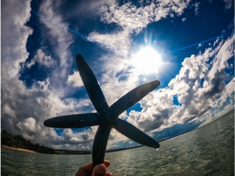 【恩納村青の洞窟⭐️貸切体験ダイビング】１人からOK！無料写真撮影★女性スタッフ在籍★当日予約、手ぶらで参加OK！シャワー、ドライヤー完備！の紹介画像