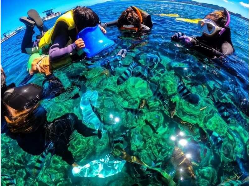 【青の洞窟❗️シュノーケリング⭐️雨天開催☔️】⭐️格安⭐️シュノーケルツアー☆当日予約・泳げない方大歓迎☆シャワードライヤー完備！の紹介画像