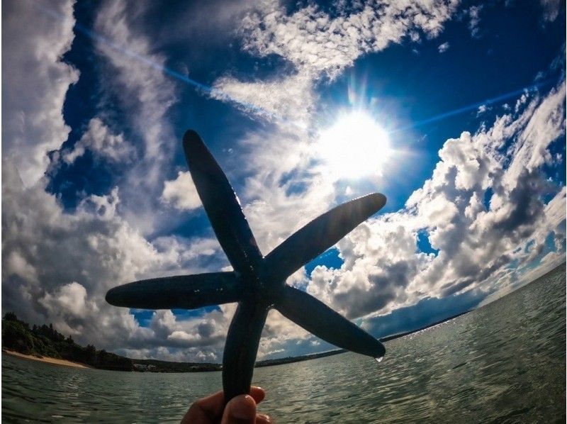 【青の洞窟❗️シュノーケリング⭐️雨天開催☔️】⭐️格安⭐️シュノーケルツアー☆当日予約・泳げない方大歓迎☆シャワードライヤー完備！の紹介画像