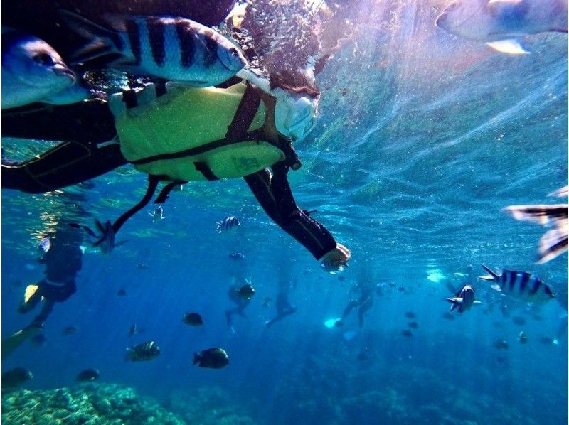 【青の洞窟❗️シュノーケリング⭐️雨天開催☔️】⭐️格安⭐️シュノーケルツアー☆当日予約・泳げない方大歓迎☆シャワードライヤー完備！の紹介画像