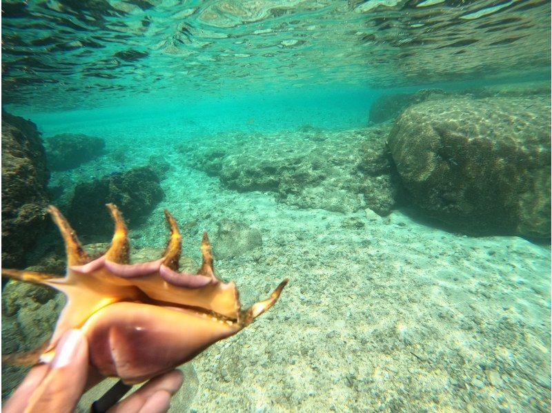 【青の洞窟❗️シュノーケリング⭐️雨天開催☔️】⭐️格安⭐️シュノーケルツアー☆当日予約・泳げない方大歓迎☆シャワードライヤー完備！の紹介画像