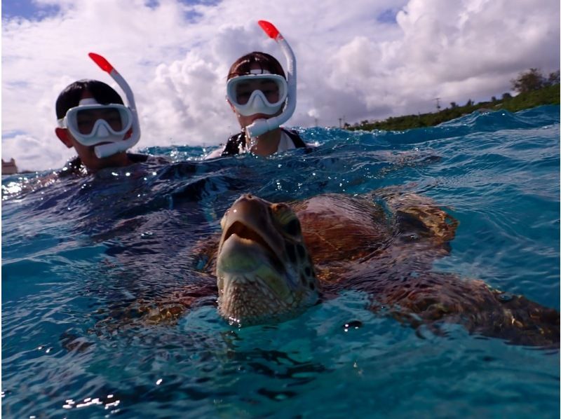 【宮古島/少人数】ウミガメと泳げるシュノーケリングツアー！遭遇率100%継続中！最大2組でのご案内♪の紹介画像