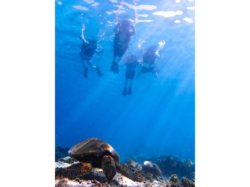 ☆春休み企画！学生グループ割セール・ウェットスーツも無料☆〜ウミガメ遭遇率99%以上〜大人気ウミガメ探索シュノーケリング！【沖縄・宮古島】の紹介画像