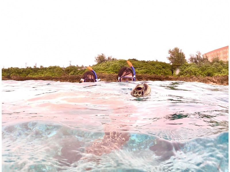 ☆春休み企画！学生グループ割セール・ウェットスーツも無料☆〜ウミガメ遭遇率99%以上〜大人気ウミガメ探索シュノーケリング！【沖縄・宮古島】の紹介画像