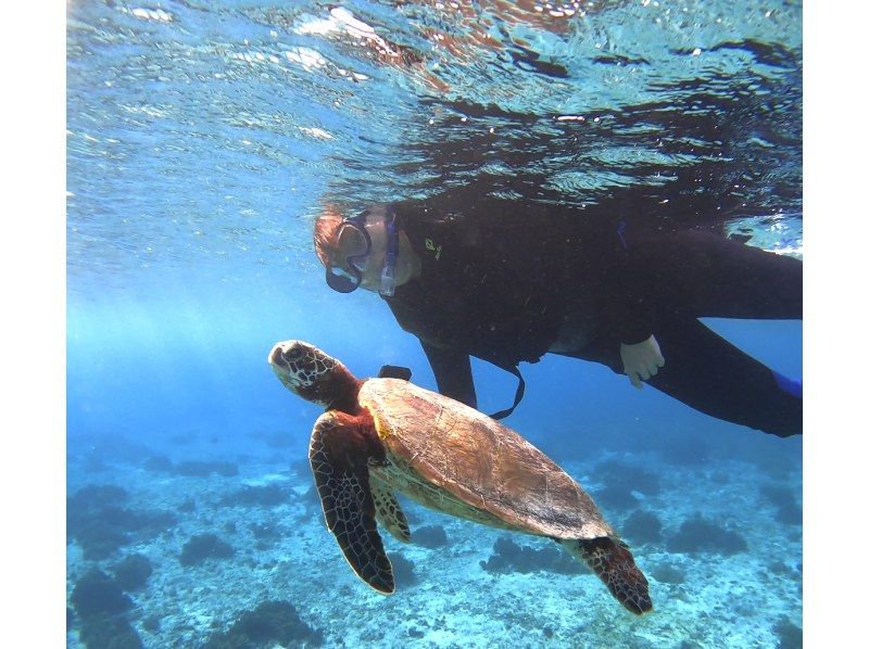 ☆春休み企画！学生グループ割セール・ウェットスーツも無料☆〜ウミガメ遭遇率99%以上〜大人気ウミガメ探索シュノーケリング！【沖縄・宮古島】の紹介画像