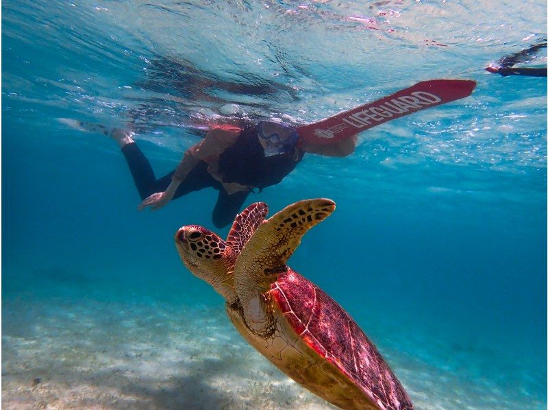 ☆春休み企画！学生グループ割セール・ウェットスーツ無料☆美しい珊瑚礁や熱帯魚に高確率でウミガメに欲張りシュノーケリングプラン【沖縄・宮古島】の紹介画像