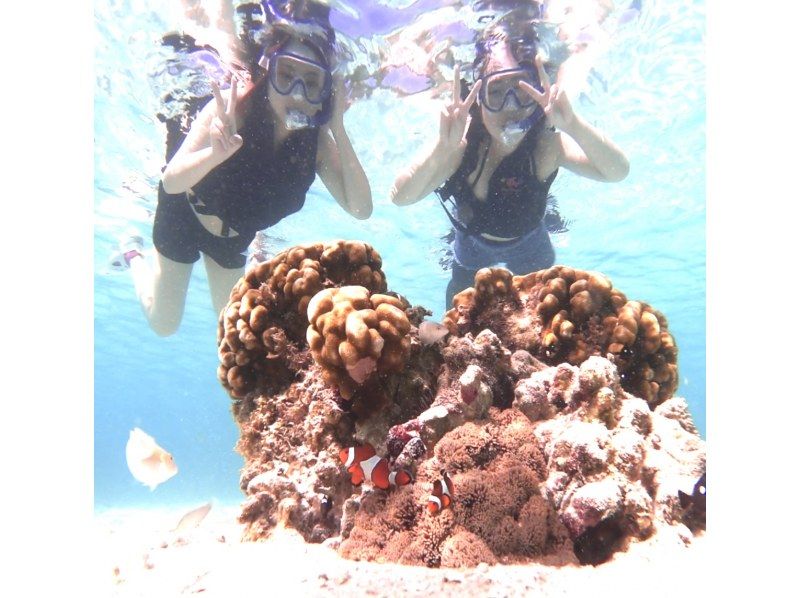 ☆春休み企画！学生グループ割セール・ウェットスーツ無料☆美しい珊瑚礁や熱帯魚に高確率でウミガメに欲張りシュノーケリングプラン【沖縄・宮古島】の紹介画像