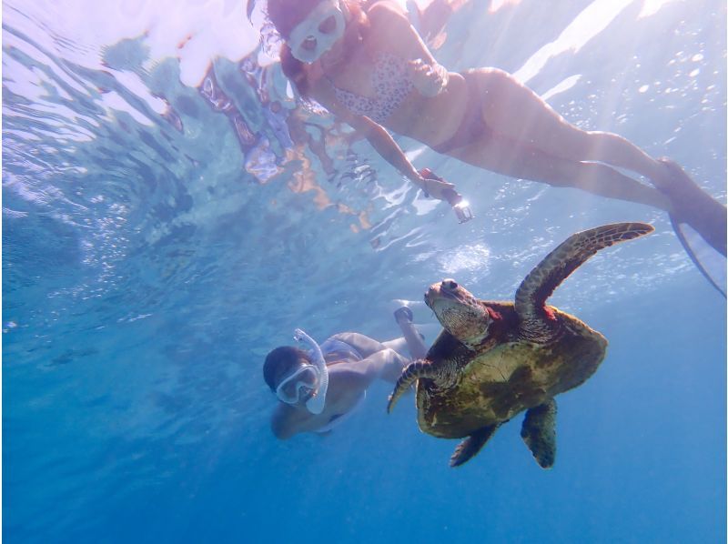☆春休み企画！学生グループ割セール・ウェットスーツ無料☆美しい珊瑚礁や熱帯魚に高確率でウミガメに欲張りシュノーケリングプラン【沖縄・宮古島】の紹介画像