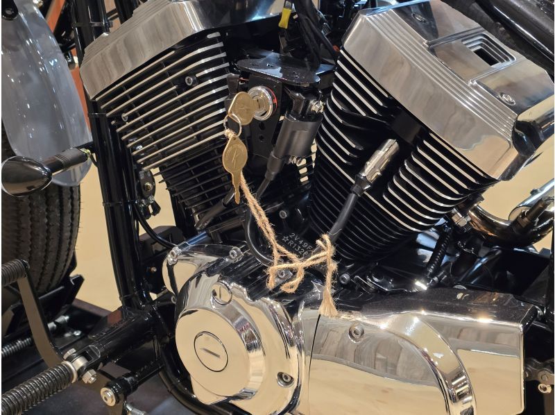 【沖縄県・宜野湾市】中型免許で気軽に乗れるクルーザー、サンダー250で沖縄を走ろう♬の紹介画像