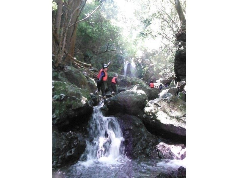 【熊本県】【熊本県】滝登り(シャワークライミング)　上級コース　9/1～9/30の期間の紹介画像