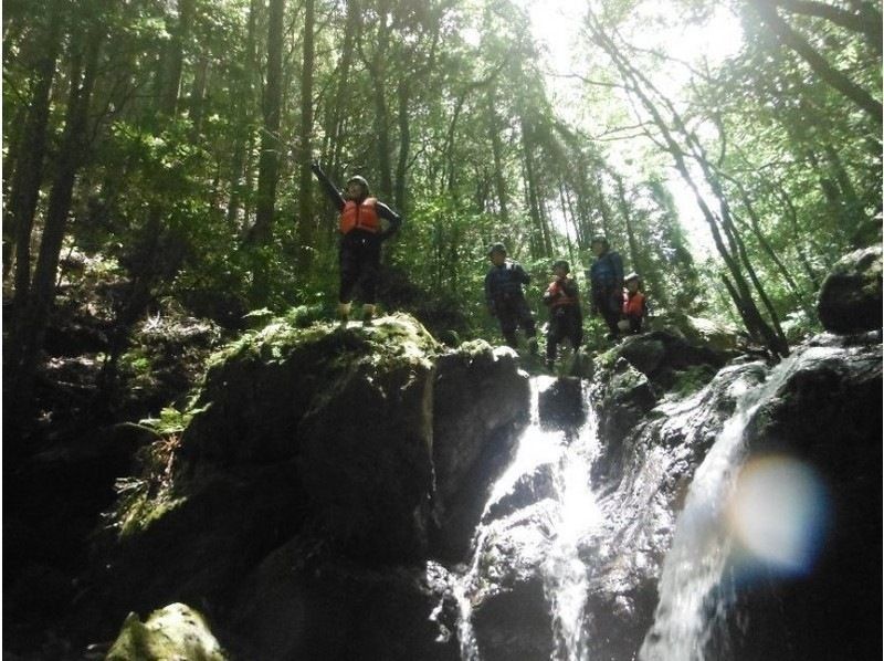 【熊本県】【熊本県】滝登り(シャワークライミング)　上級コース　9/1～9/30の期間の紹介画像