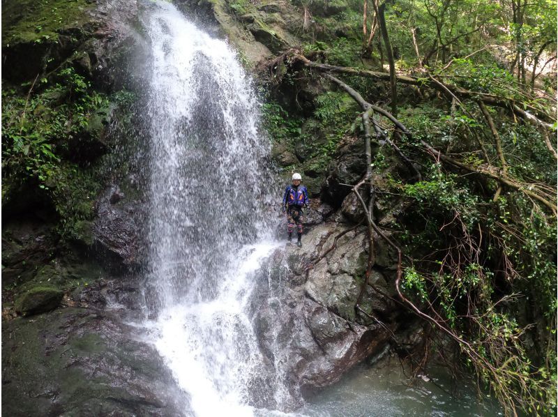 【熊本県】【熊本県】滝登り(シャワークライミング)　上級コース　9/1～9/30の期間の紹介画像
