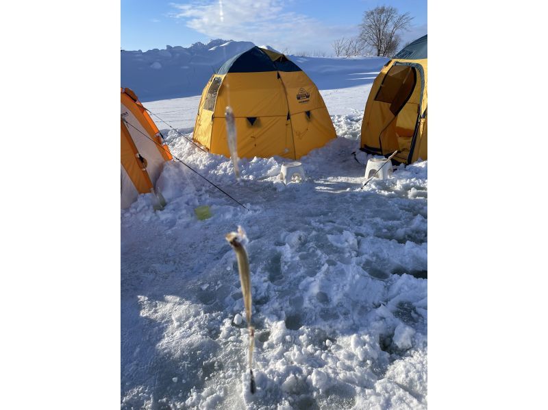 【北海道】札幌市内中心部から送迎付き！北海道屈指の秘境でワカサギ釣り！朱鞠内湖での1日プレミアムワカサギ釣り体験ツアーの紹介画像