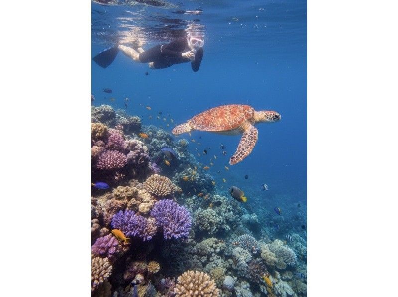 【石垣島/午前8：00】大人気！ウミガメシュノーケル｜朝から海を堪能｜ドローン&bull;GoPro撮影付きの紹介画像