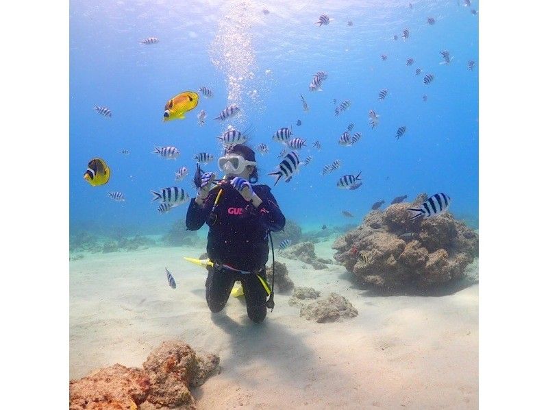 【沖縄・糸満】お好きな時間に1便からでも！初心者からライセンス持ちまで楽しめるダイビングの紹介画像