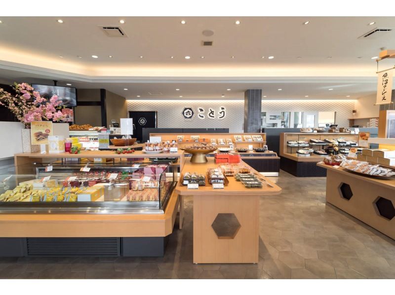 【新潟・南魚沼】雪国の春　可憐なカタクリの群生を訪ねる里山散歩の紹介画像