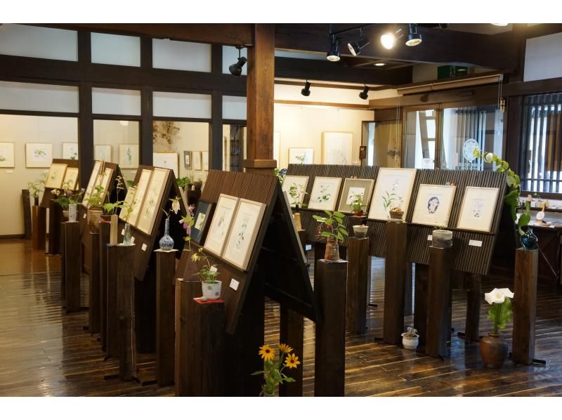 【新潟・南魚沼】雪国の春　可憐なカタクリの群生を訪ねる里山散歩の紹介画像