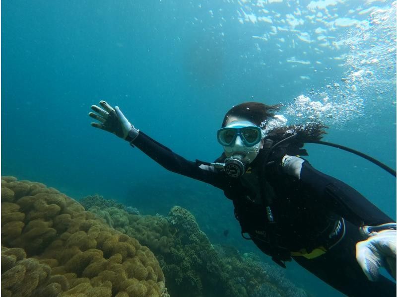 北谷町≪体験ダイビング１ダイブ≫✨のんびりビーチから✨熱帯魚とサンゴのお花畑に感動✨初めてでも安心の貸切ツアー✨写真動画も無料！の紹介画像