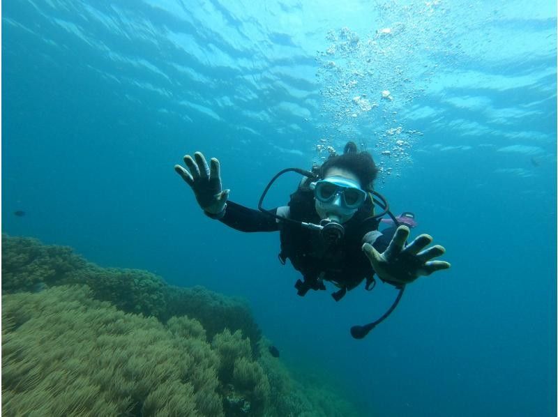 北谷町≪体験ダイビング１ダイブ≫✨のんびりビーチから✨熱帯魚とサンゴのお花畑に感動✨初めてでも安心の貸切ツアー✨写真動画も無料！の紹介画像