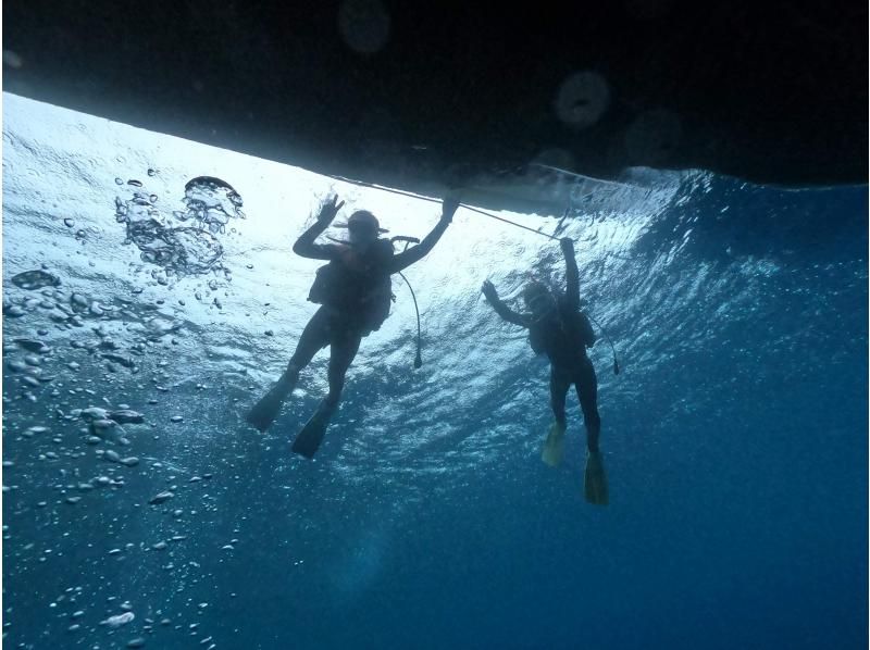 不動の人気・快適ボートで行く‼️【青の洞窟ボートダイビング＆パラセール】Gopro写真・動画・餌あげ・タオル無料‼️直前予約ＯＫ‼️の紹介画像