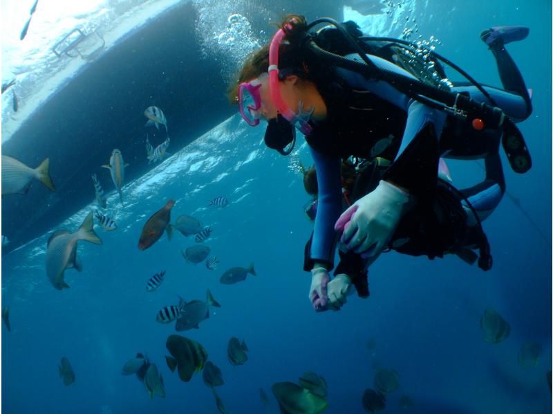 不動の人気・快適ボートで行く‼️【青の洞窟ボートダイビング＆パラセール】Gopro写真・動画・餌あげ・タオル無料‼️直前予約ＯＫ‼️の紹介画像